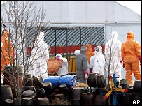 Diệt gà cúm ở Hàn Quốc