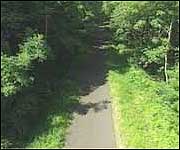 Country lane near Lydford