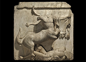 Parthenon sculpture:Centaur and Lapith