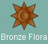 Bronze Flora Medal