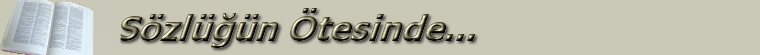 Sözlüğün Ötesinde