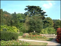 Tyntesfield gardens