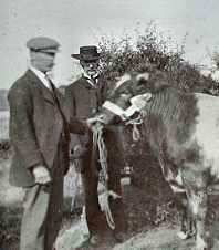 Robert McConaghy (great grandfather of John) in hat, with prize bull