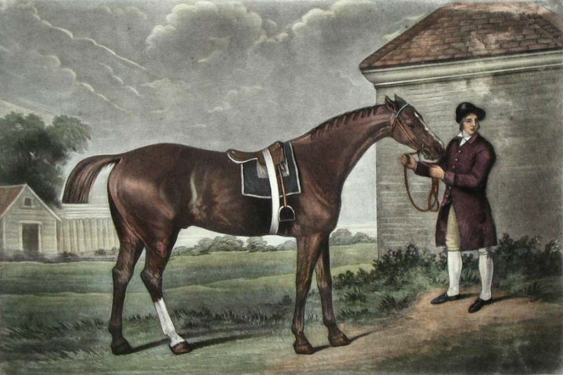 Eclipse racehorse