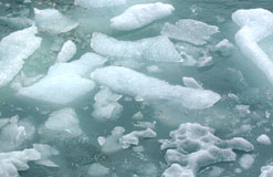 Floating pieces of iceberg