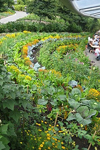 edible landscaping