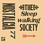 Review of The Sleepwalking Society