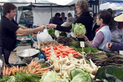 Picture shows open-air food market