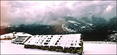 بهار ارتفاعات اطراف ما سوله 