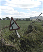Roadside in Thirsk area