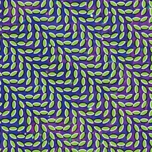 Review of Merriweather Post Pavilion Review of Merriweather Post Pavilion