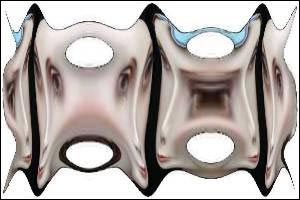 عکس از فاطمه مهجوريان