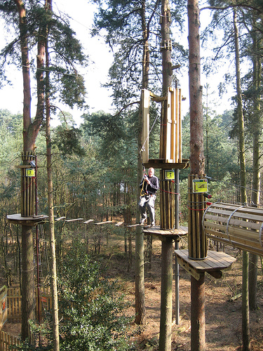 Go Ape at Hatchmere, Delamere Forest