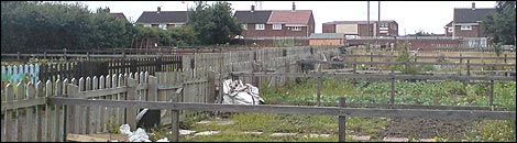 Athersley allotments