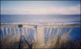 Pinhole photography by Gina Glover 