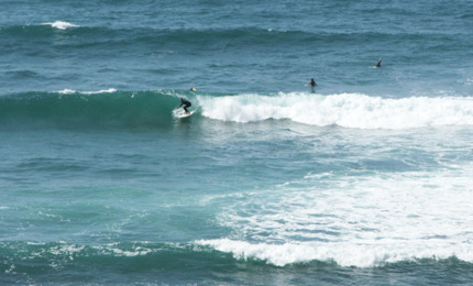 Onshore, but Bells Beach in Victoria always catches the breath, especially after news of a bad shark attack 200 yards from here the week before. This charger throws all he has at Rincon. Pic: M, 07