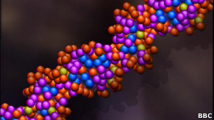 DNA (Foto: BBC)