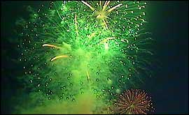 Should the sale of fireworks be restricted to organised displays only
