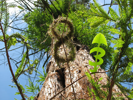 Nigel Leach's Photomarathon topic one photo: My Entry Number