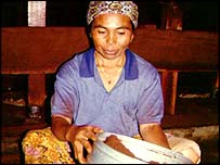 Illegal coffee plantations in national park threatening wildlife