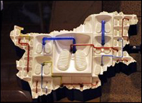 Tác phẩm miêu tả Bulgaria là một bệ xí