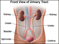 بی اختياری ادرار