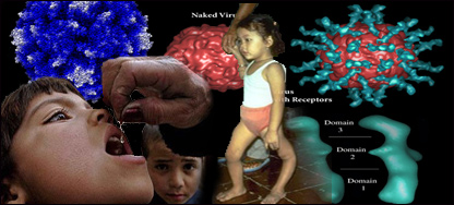 واکسين پوليويا فلج 