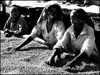 ©S.Salgado/Amazonas for illy