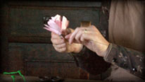 Use florist wire to create the stem