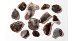 Flints (arrowheads, spearheads)