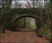 Bridge over the trail