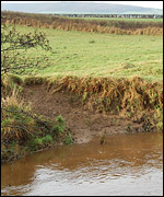 Part of the river bank on the Esk