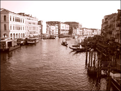 عکس از پریسا عرفانی 