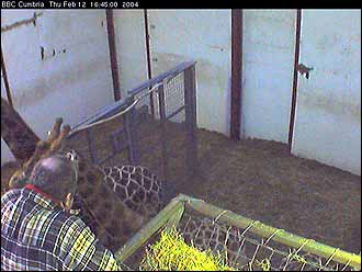 Screen grab Monday 6 Oct 2003