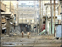 سرباز آمريکايی در فلوجه