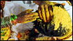 Indian wedding ritual