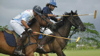 Jugadores de polo en Jamaica