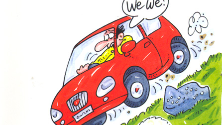 Rhan o glawr y llyfr