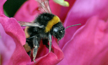 Photo taken by Tim Kingsley