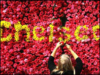 切尔西花展上的展品