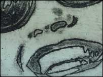 Picture by Tim Thomson