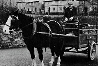 George, y dyn ceffylau