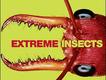 Foto: Extreme Insects/HarperCollins