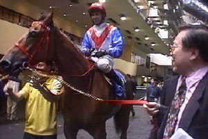 Dr Chao shows us his ponies