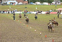 Ceffylau yn y Prif Gylch