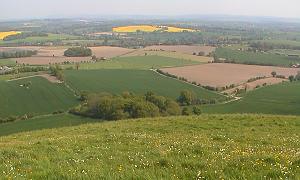 Picture of The Pewsey Valee