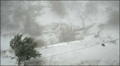 约旦遭遇暴风雪