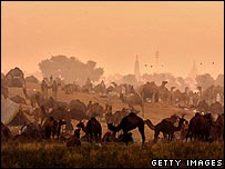 पुष्कर का एक दृश्य