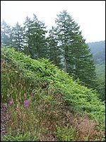 Stunning view on 3 peaks walk