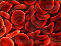 فوايد اهدای خون 